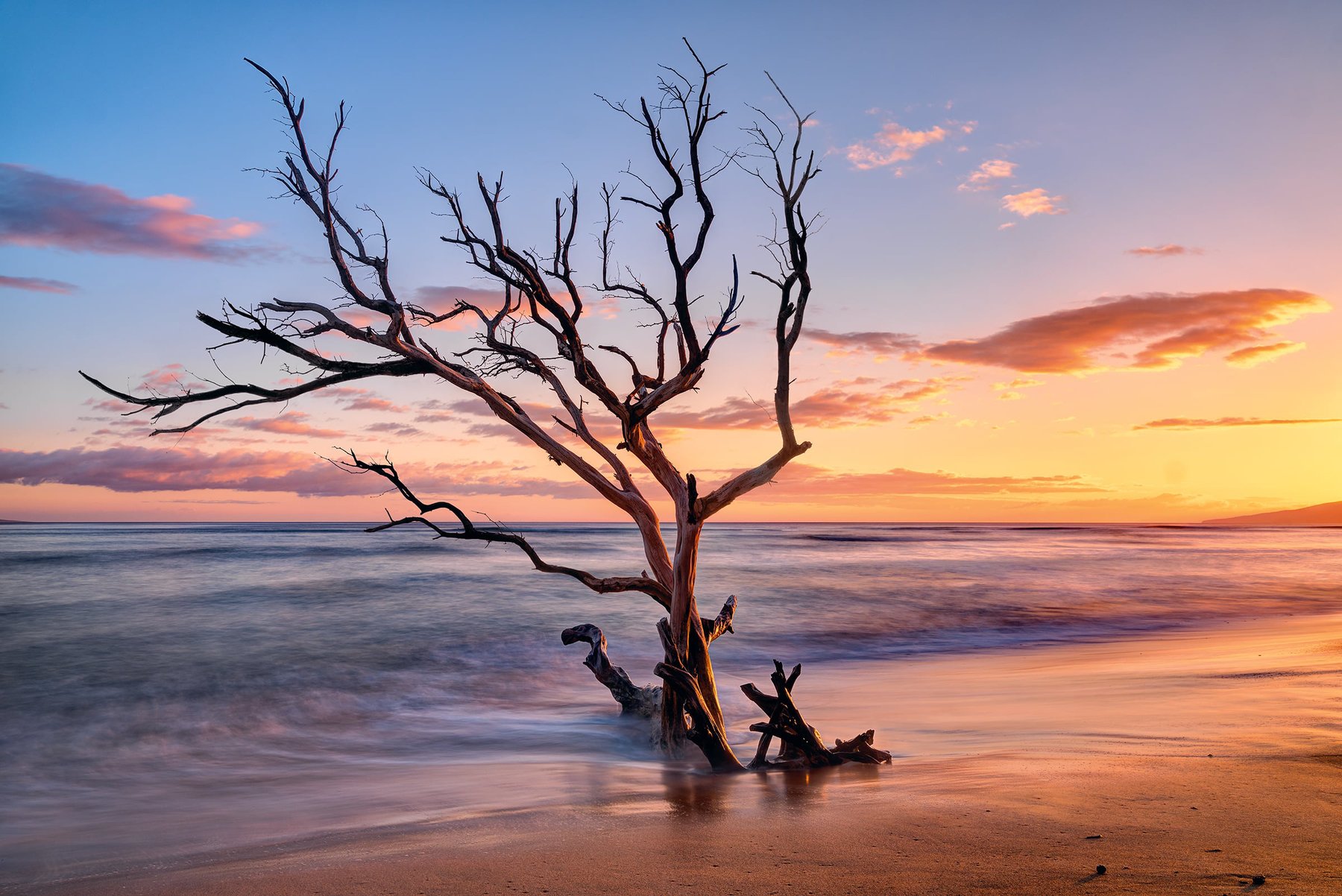 Own peter lick hawaii photos
