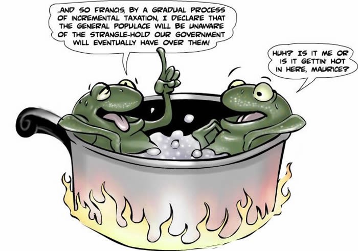 boiling-frogs.jpeg