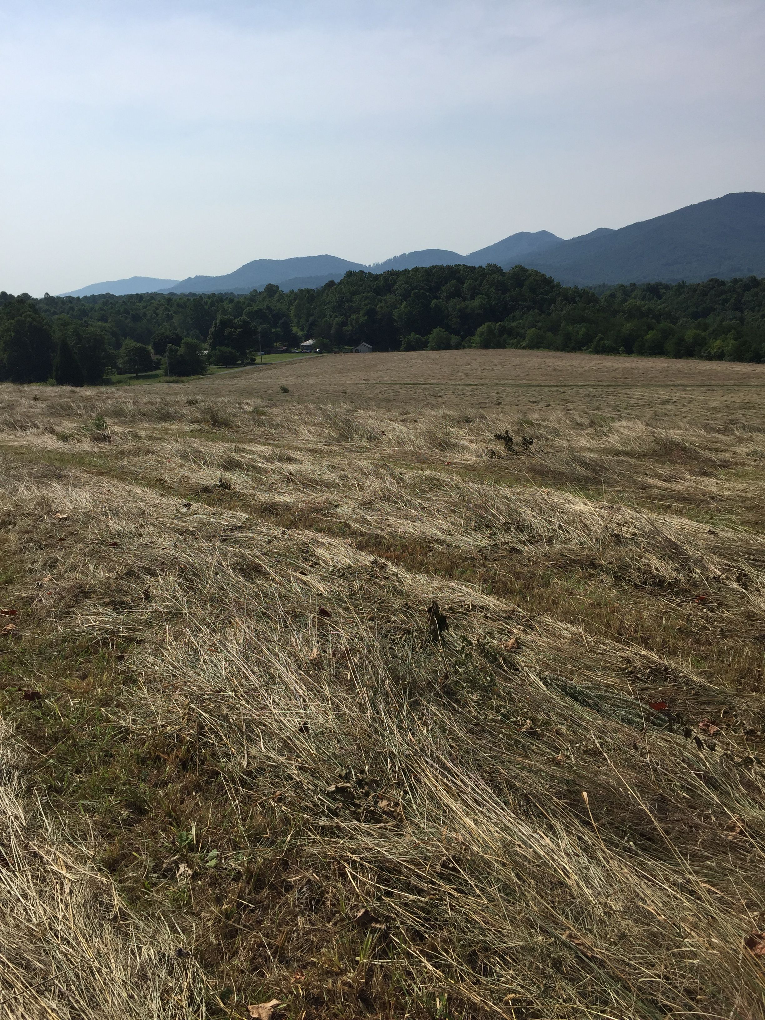 image.jpeg(https://steemitim...30$0.01watsma3(25)•in farm•2990 days agoI've Been busy on the farm houseNew Windows installed Bricked off a door and opened up another one. Framing of second floor adding two walk in closets and steps. ![image.jpeg(https://steemitim...30$0.01
watsma3(25)•in #farm•3088 days agoFarm life new calf last nightNew calf last night after a two week pause in calfing. We had 15 the first 3 weeks in July and nothing for over 2 weeks. I guess the bull ran out of bull power ...22$0.00watsma3(25)•in farm•3088 days agoFarm life new calf last nightNew calf last night after a two week pause in calfing. We had 15 the first 3 weeks in July and nothing for over 2 weeks. I guess the bull ran out of bull power ...22$0.00
watsma3(25)•in #first•3110 days agoFirst cut of hay at farm![image.jpeg