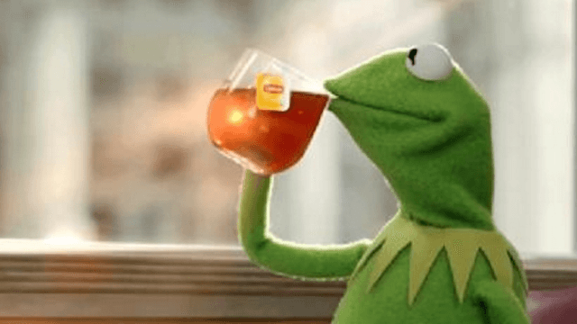 kermit-the-frog-tealizard-good-morning-america-tea-lizard-wlm.png