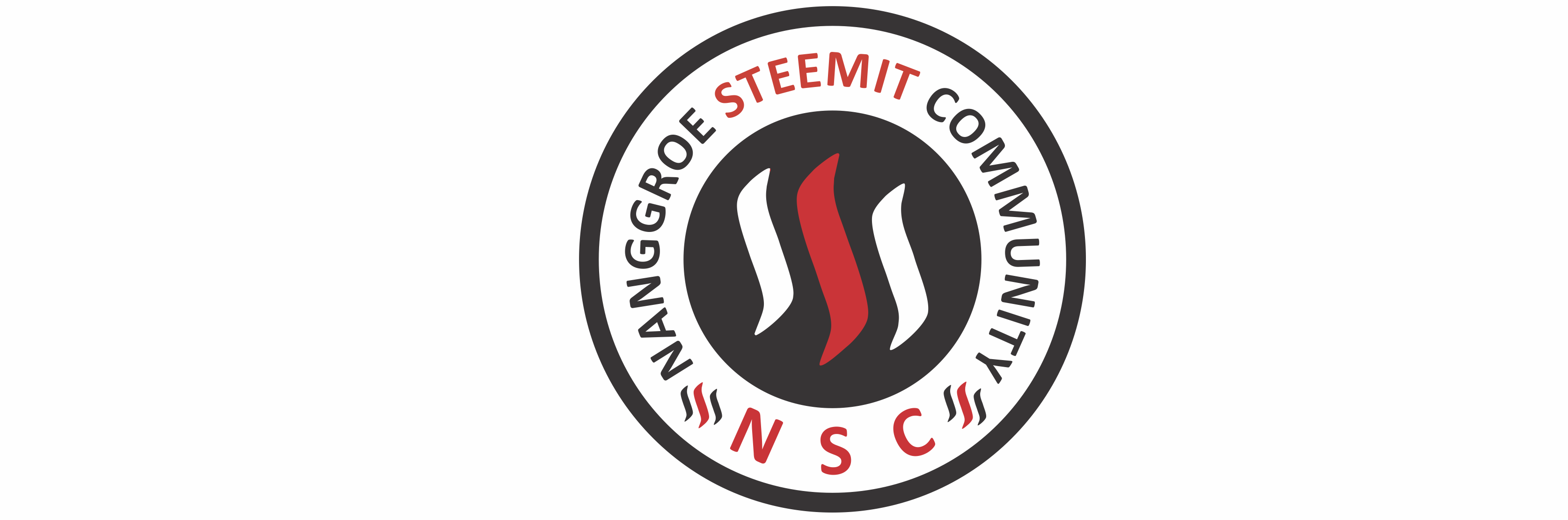 logo NSC White.png