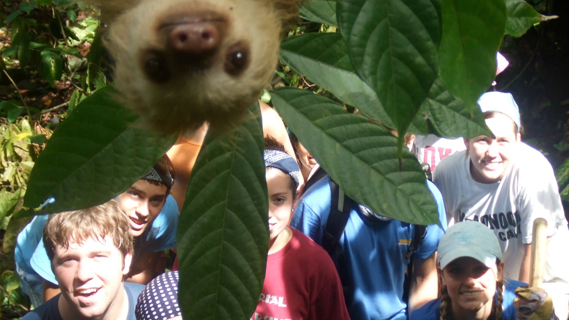 photobombs-de-animales-oso-perezoso-se-suma-foto-grupal-2.jpg