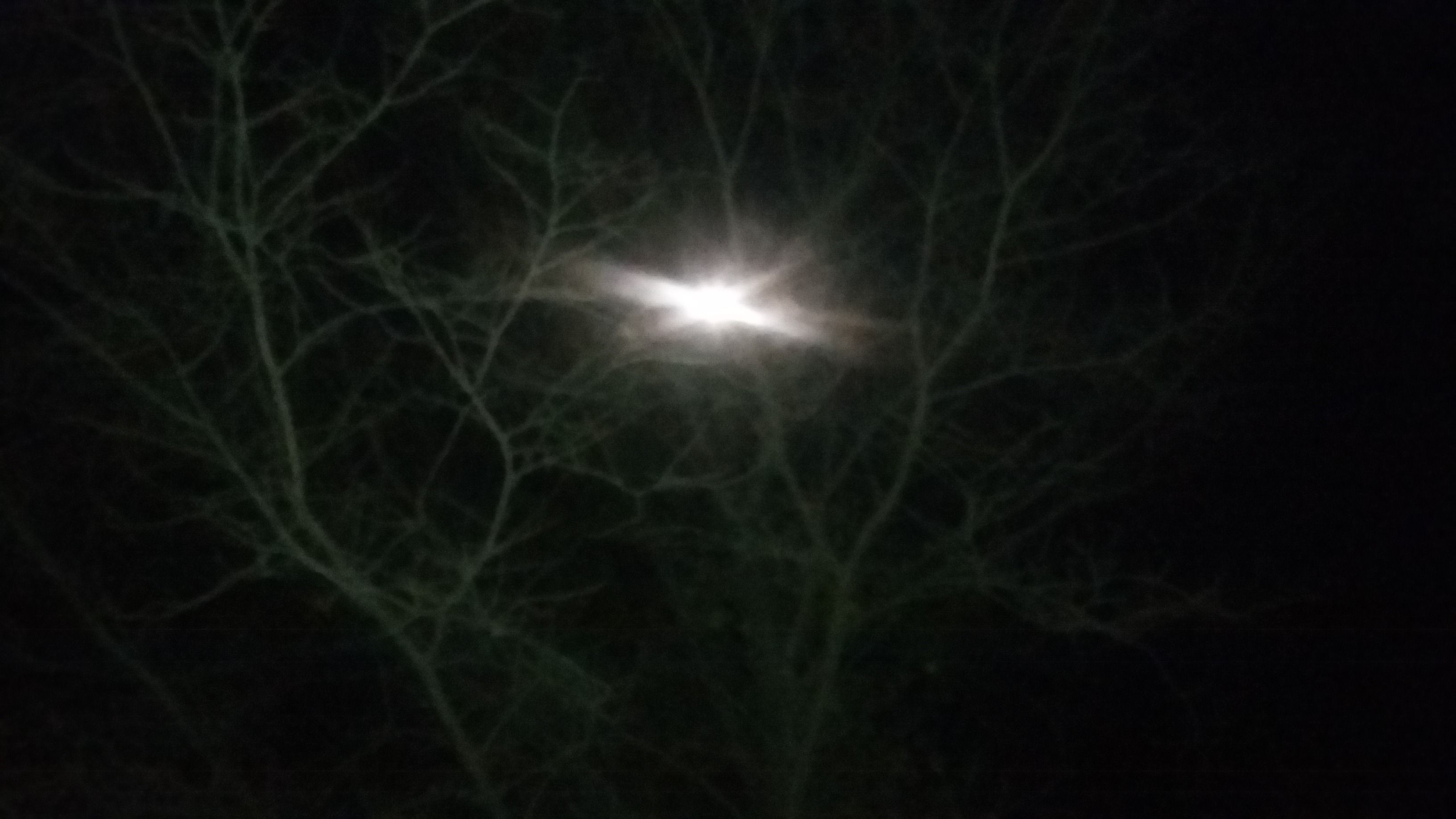20171102_213236.jpg