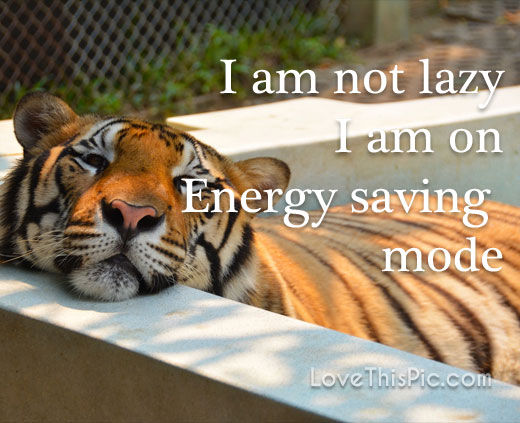 318078-I-Am-Not-Lazy.jpg