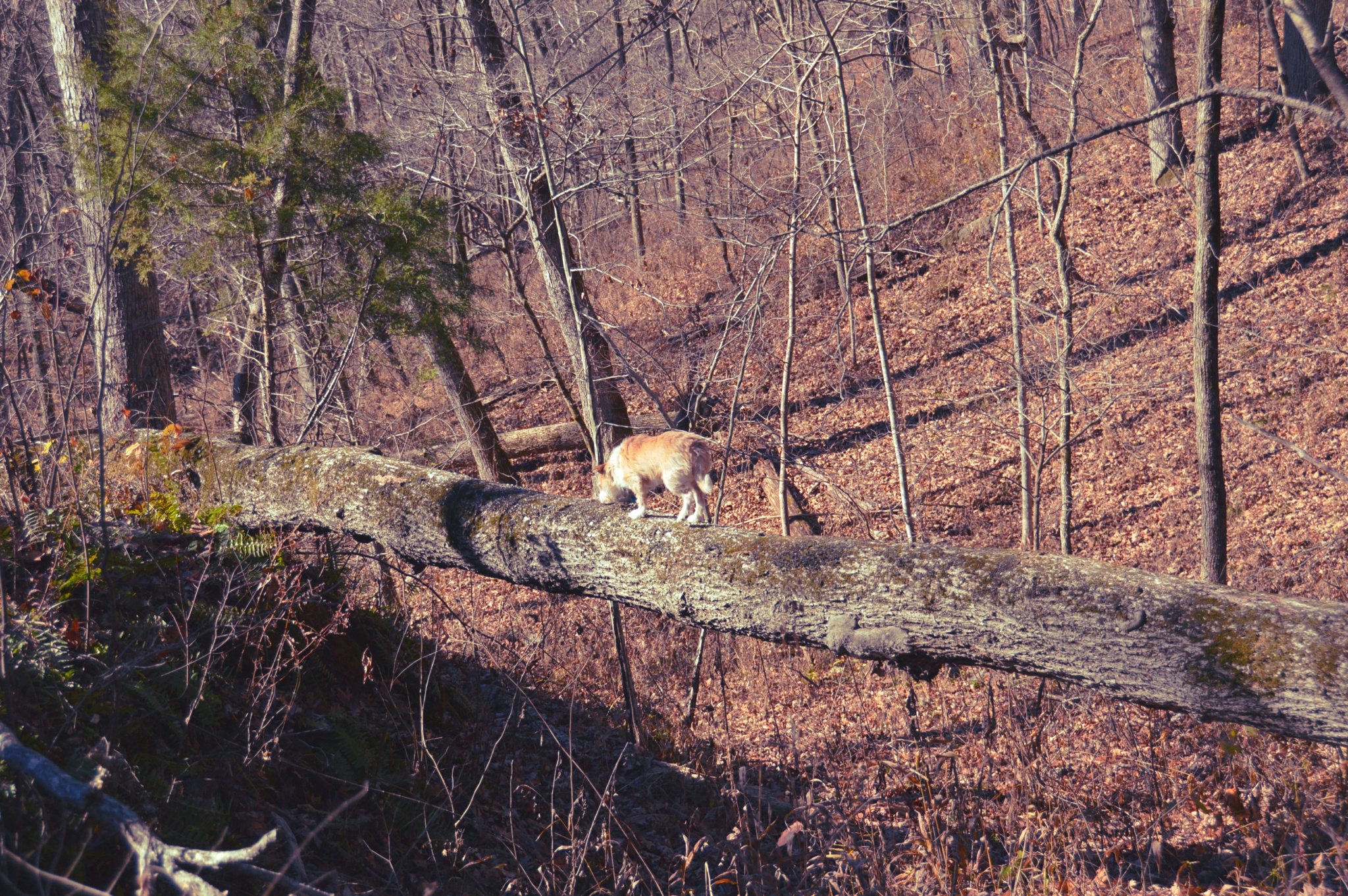 DSC_0032.JPG