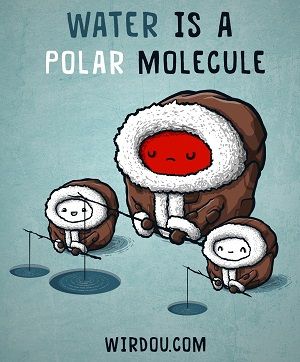 water-polar-molecule.jpg