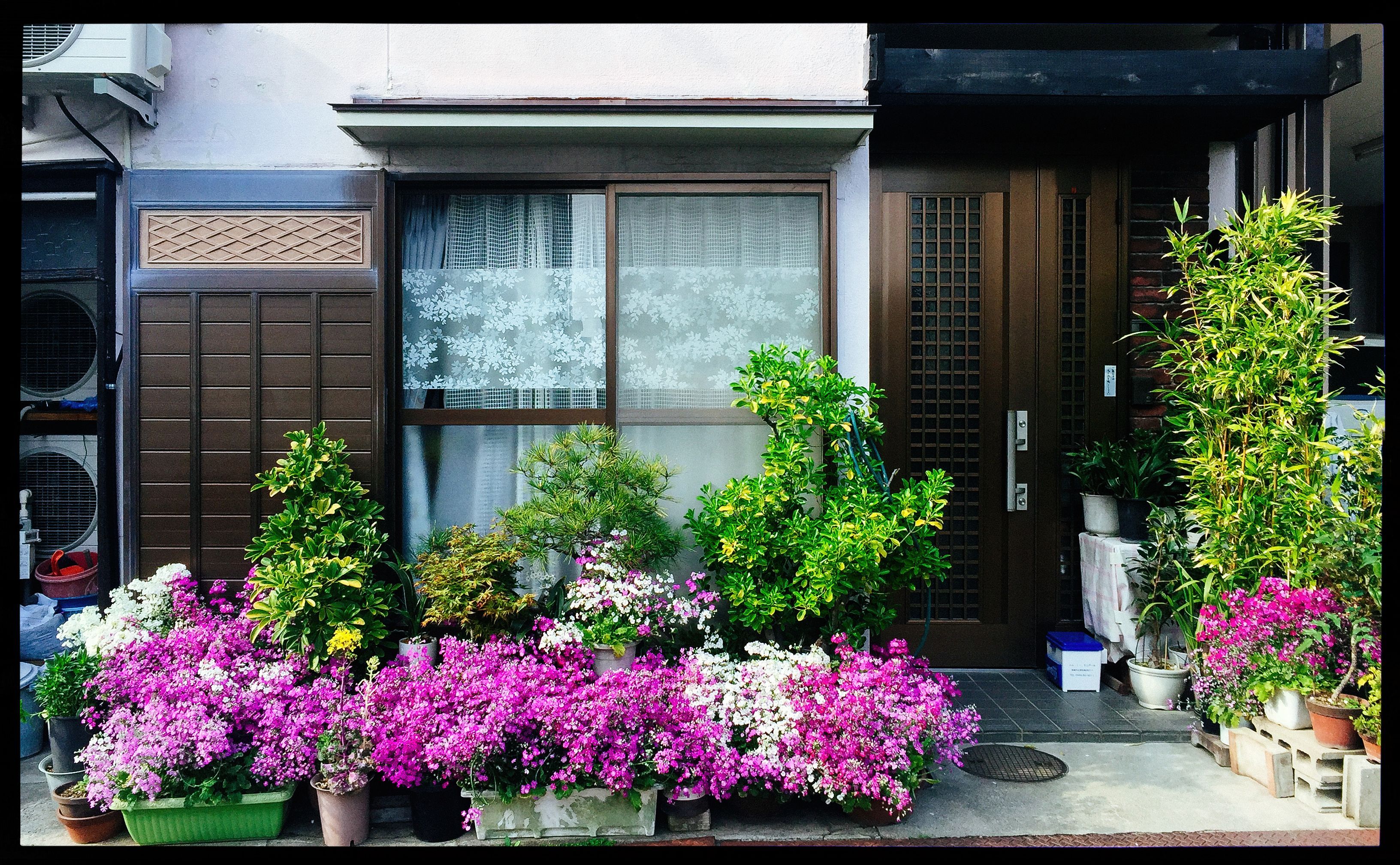 Sidewalk Garden