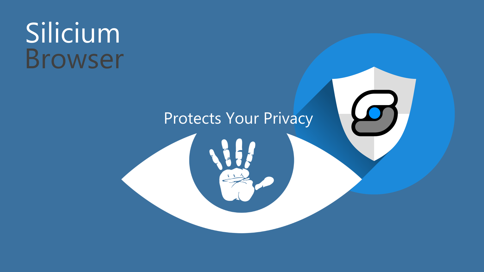 Silicium Browser Privacy.png
