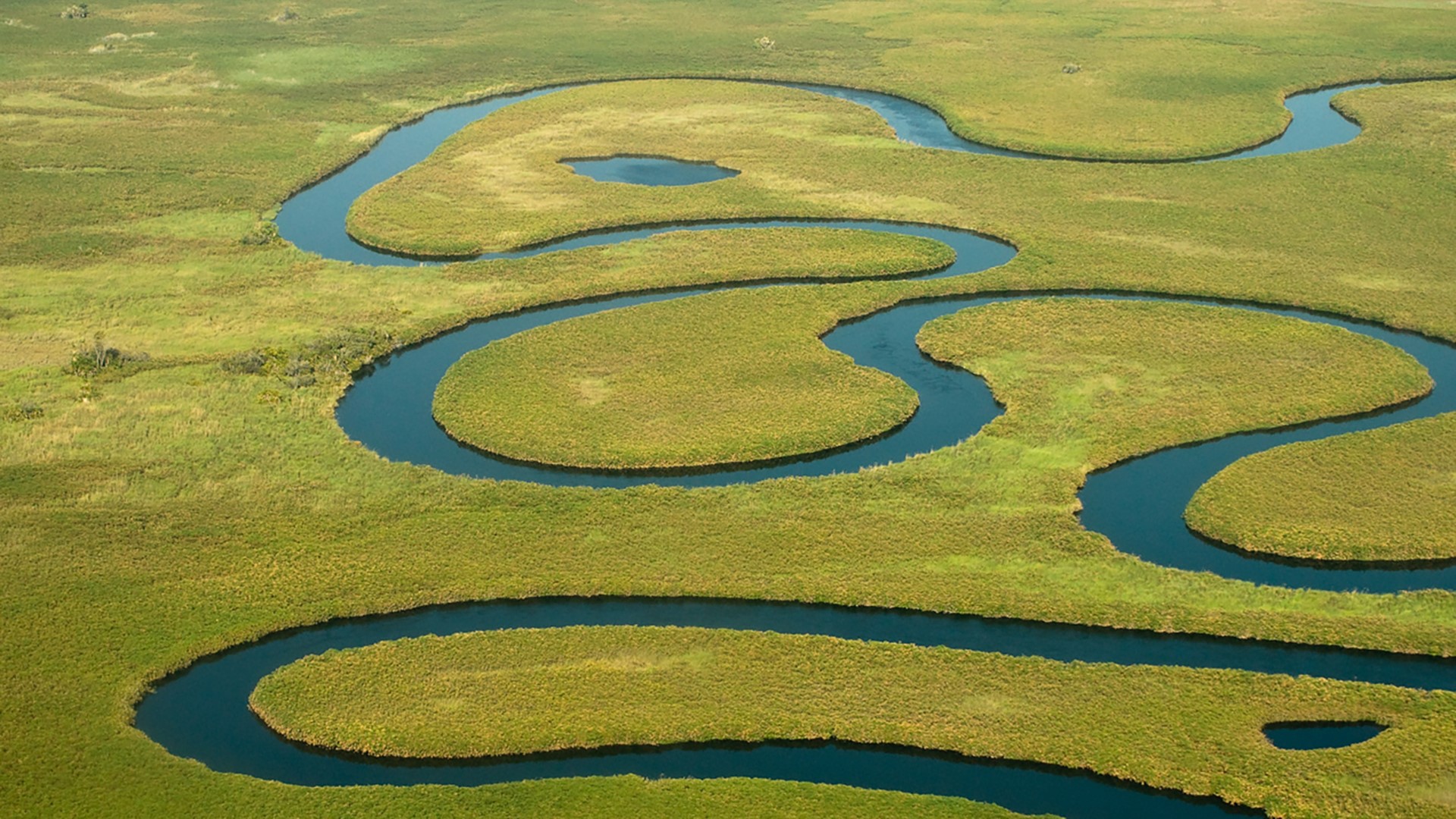 Okavango River, Botswana 1920x1080.jpg