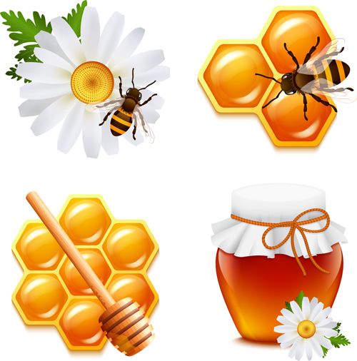 Honey-and-bee-with-flower-icons-vector.jpg