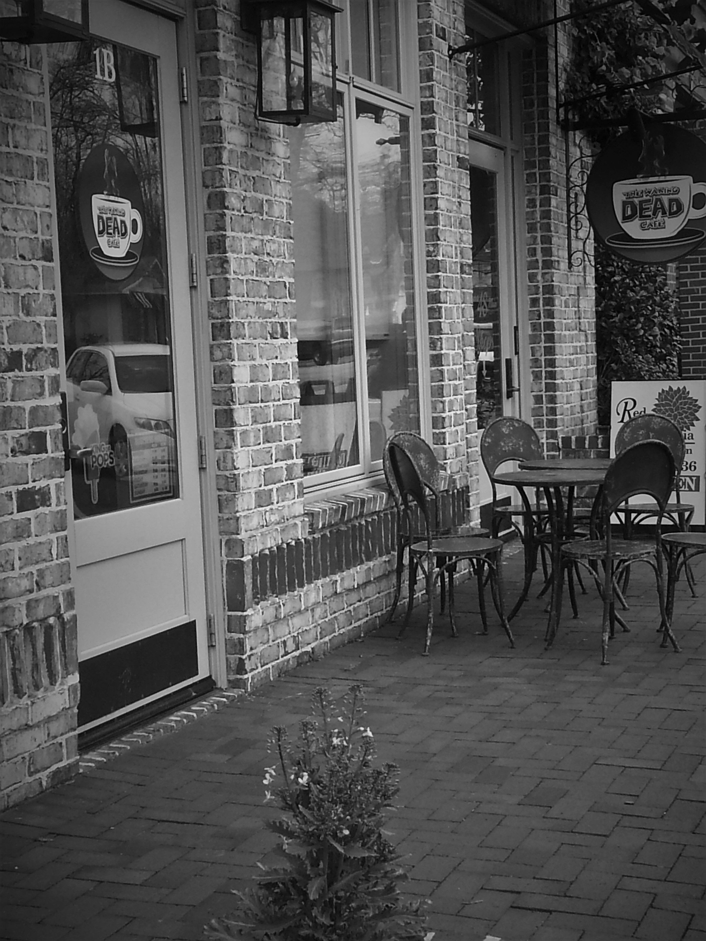 TWD Cafe in BNW.jpg