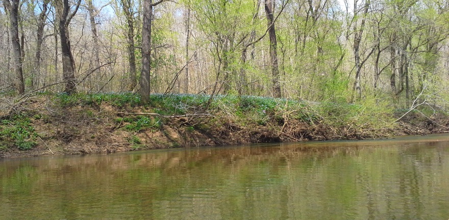 20150412_140744.jpg