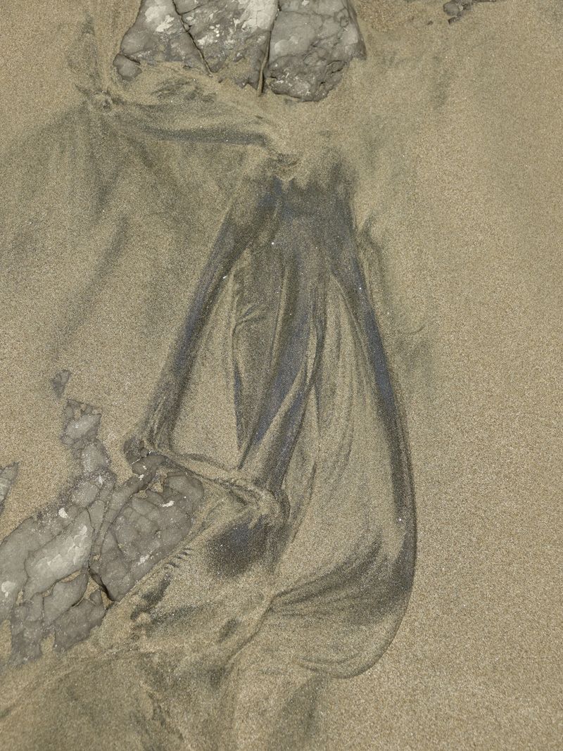 RX_01748.jpg