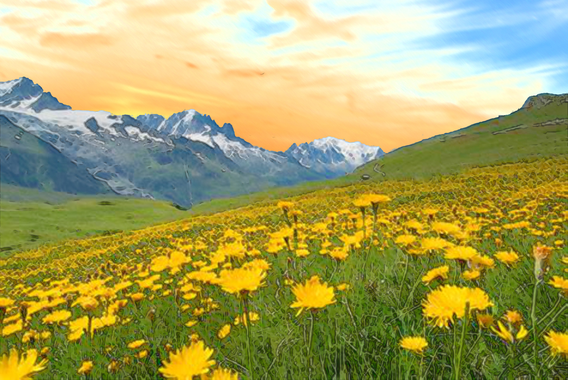 landscapes026-field-of-dandelions-35.jpg