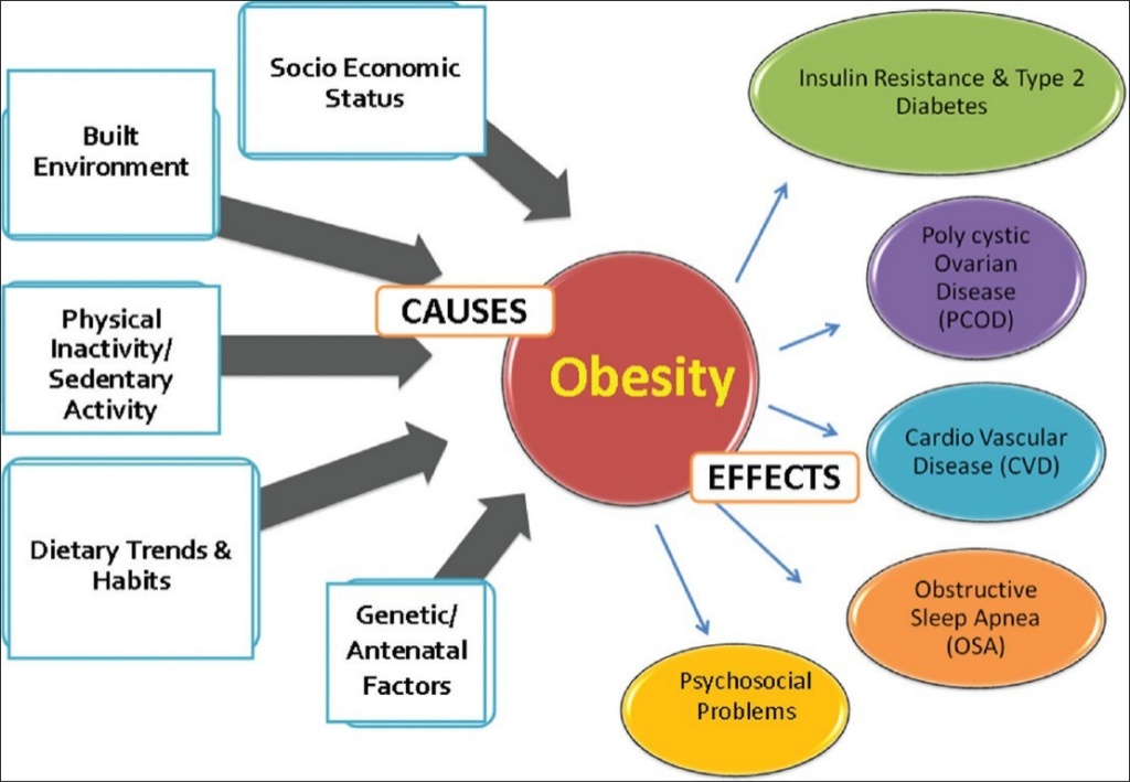 27_malnutrition-in-india-and-nutritional-assessment-of-the-community-27-1024.jpg