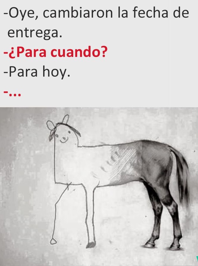 caballo.jpg