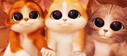 giphy (2).gif