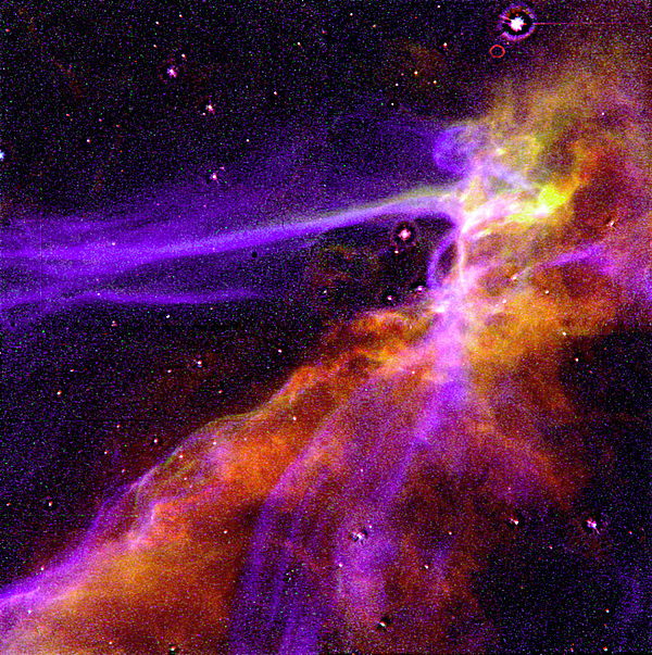 600px-Cygnus_Loop_Supernova_Blast_Wave_-_GPN-2000-000992.jpg