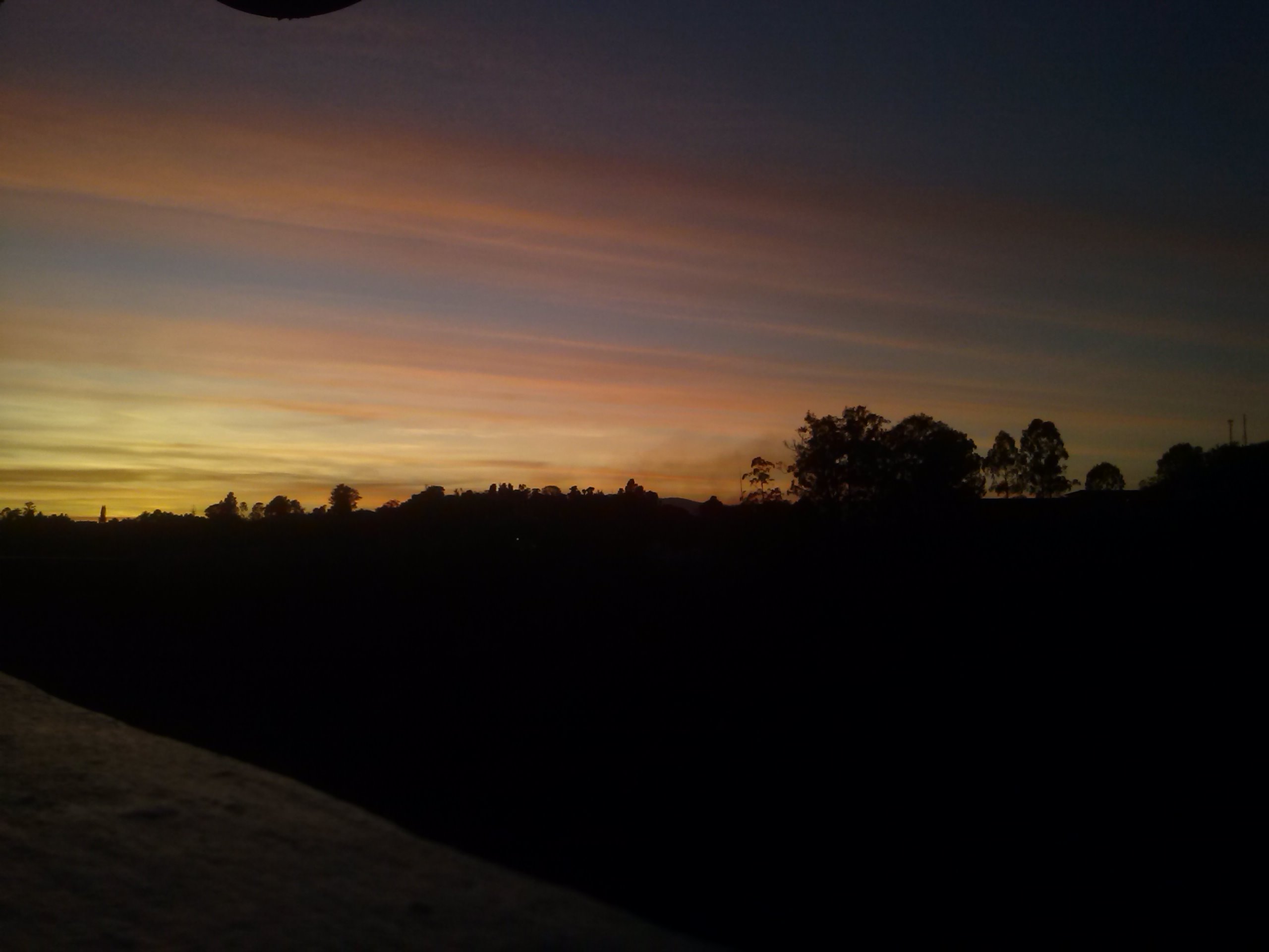 CAM01247.jpg