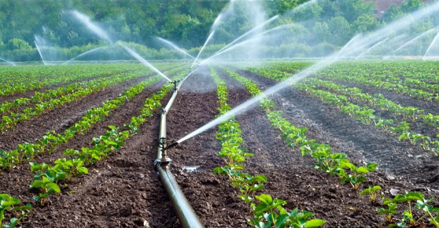 Sprinklers and Drip Irrigation.jpg