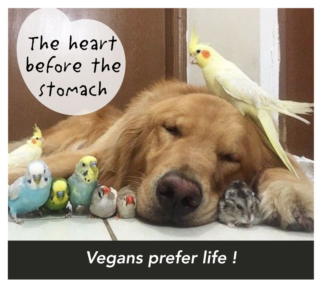 7.vegan.jpg