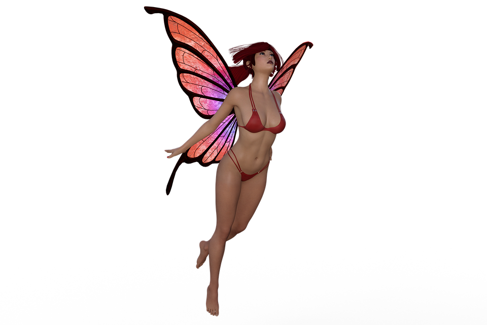 fairy-3144799_960_720.png