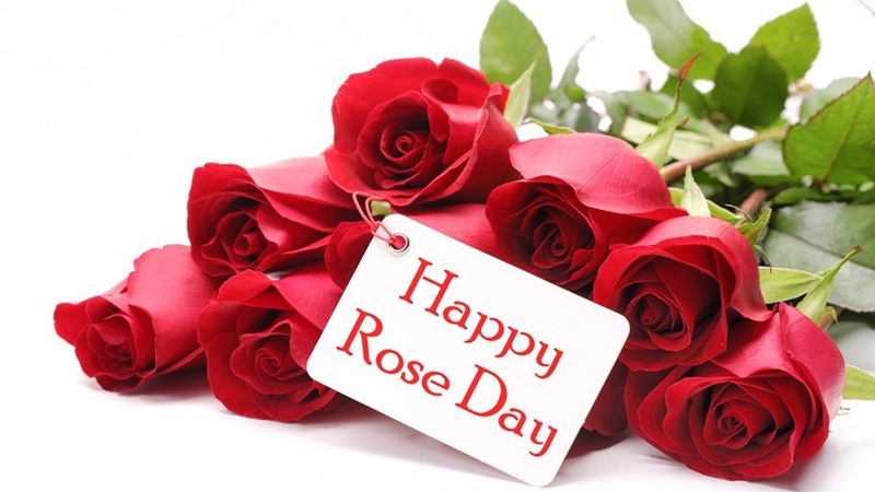 happy-rose-day.jpg