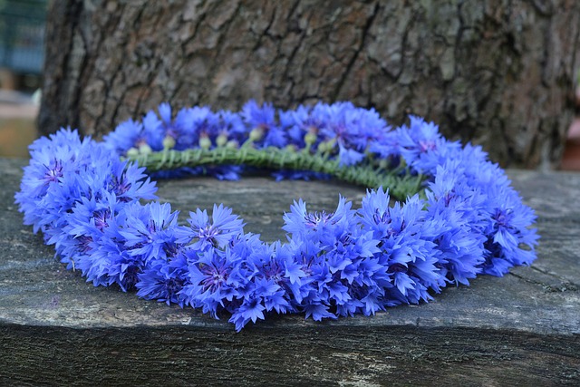 wreath-2633043_640.jpg