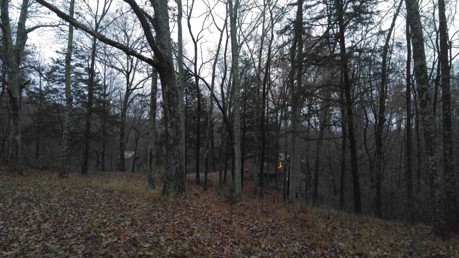 20161204_163401 Barn and Studio at Dusk.jpg