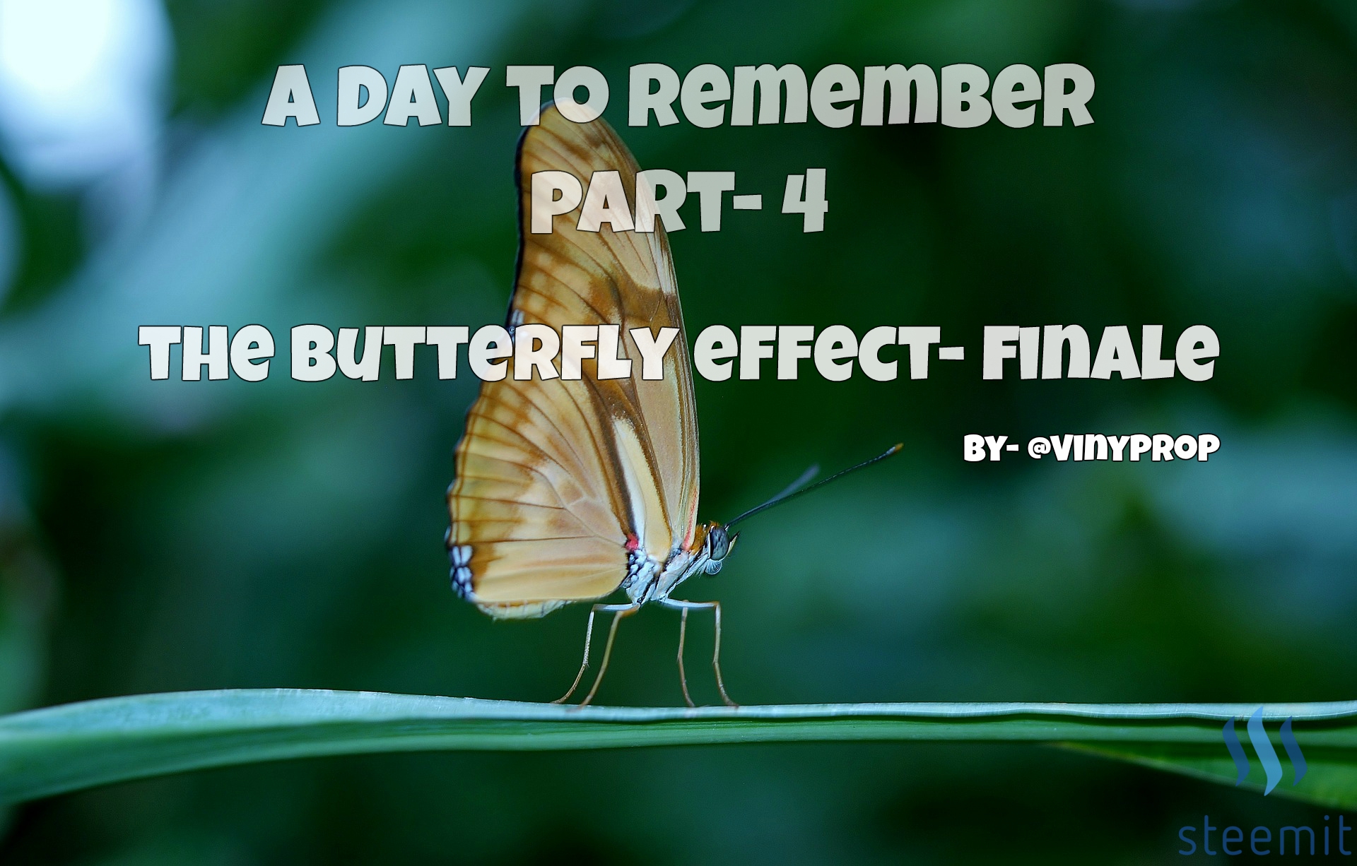 ButterflyEffect3.jpg