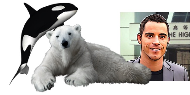 BabyBelugaDislikes.jpg