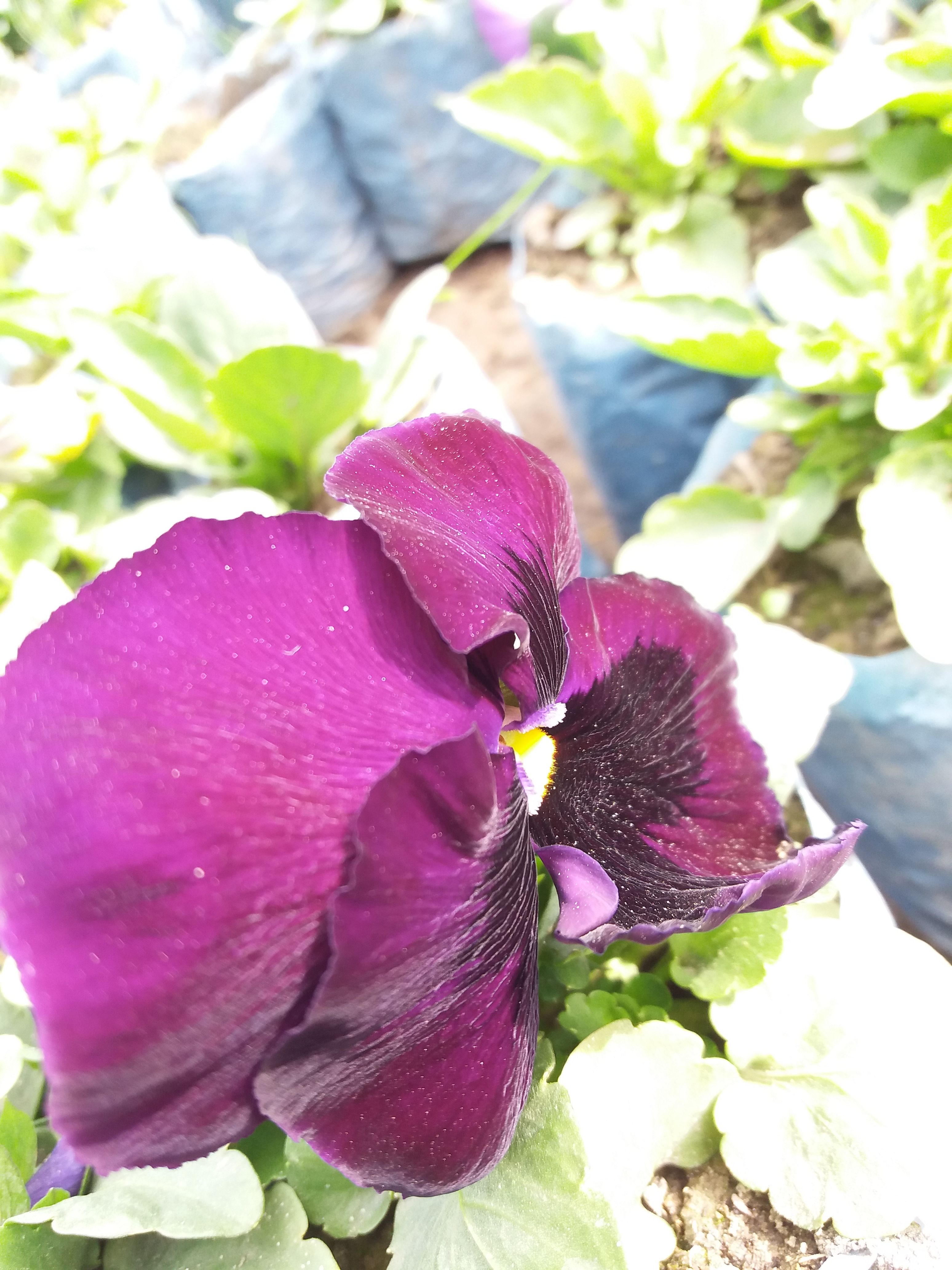 20180221_104704.jpg