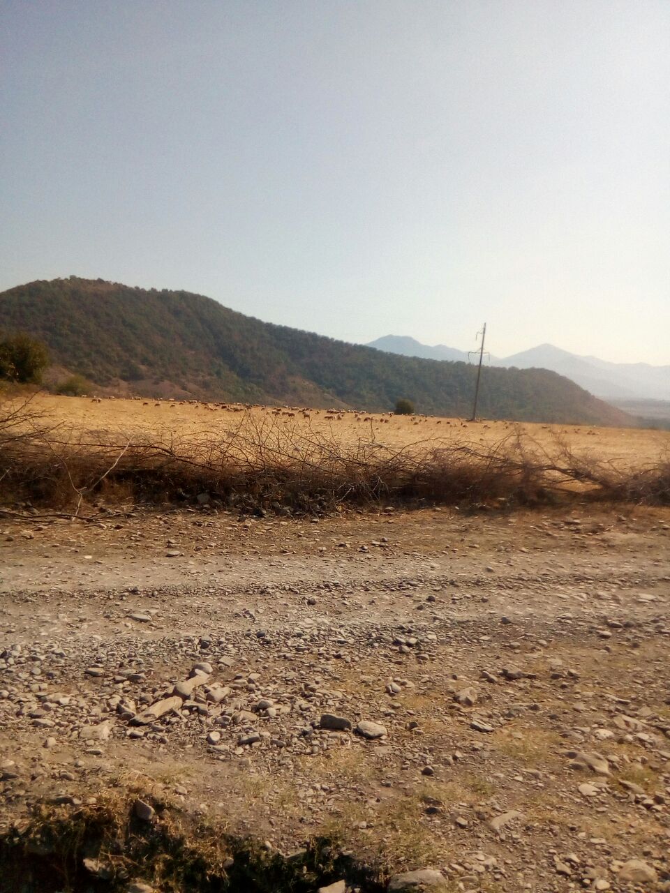 IMG-20170924-WA0007.jpg