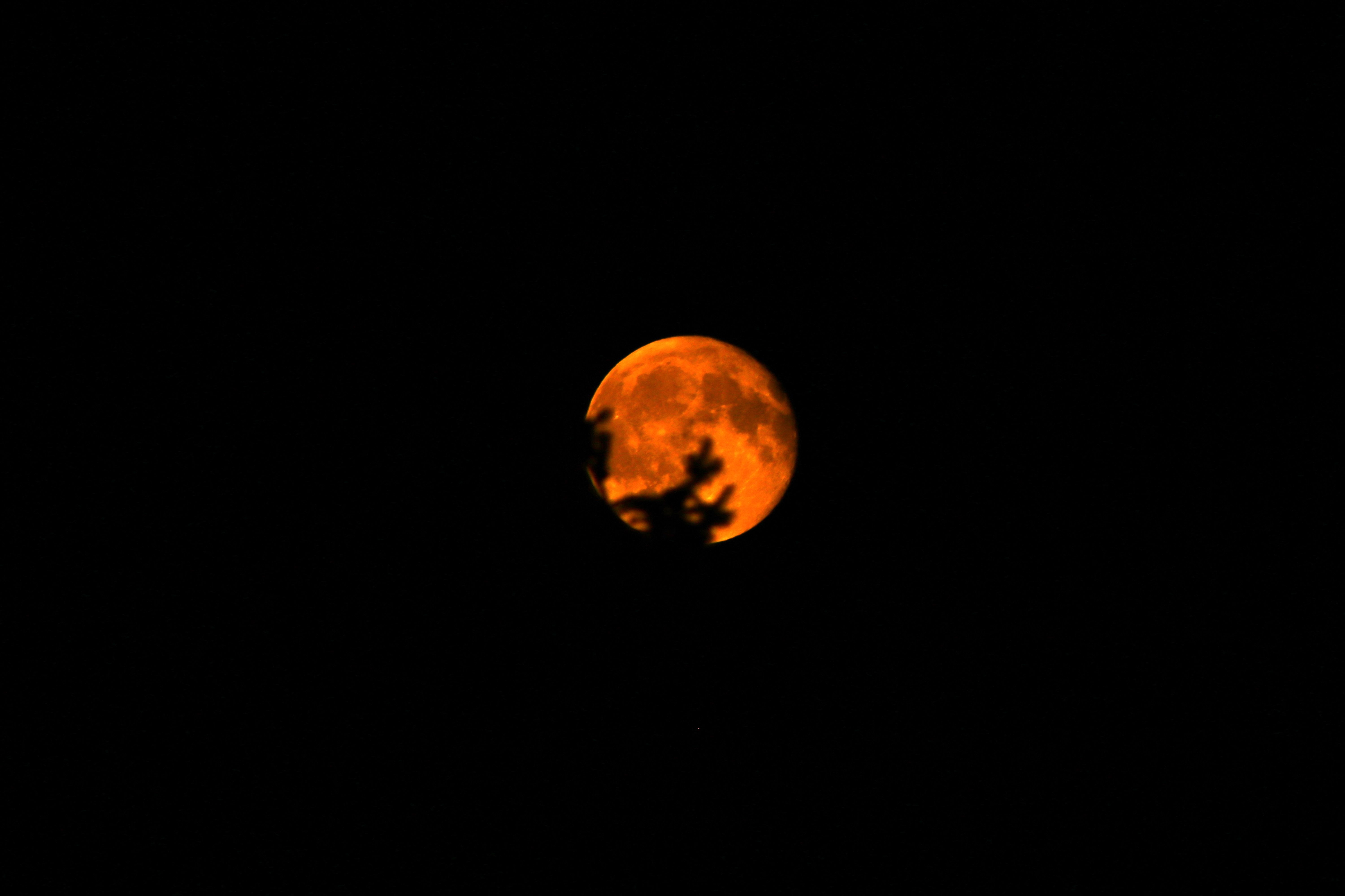 moon red.jpg