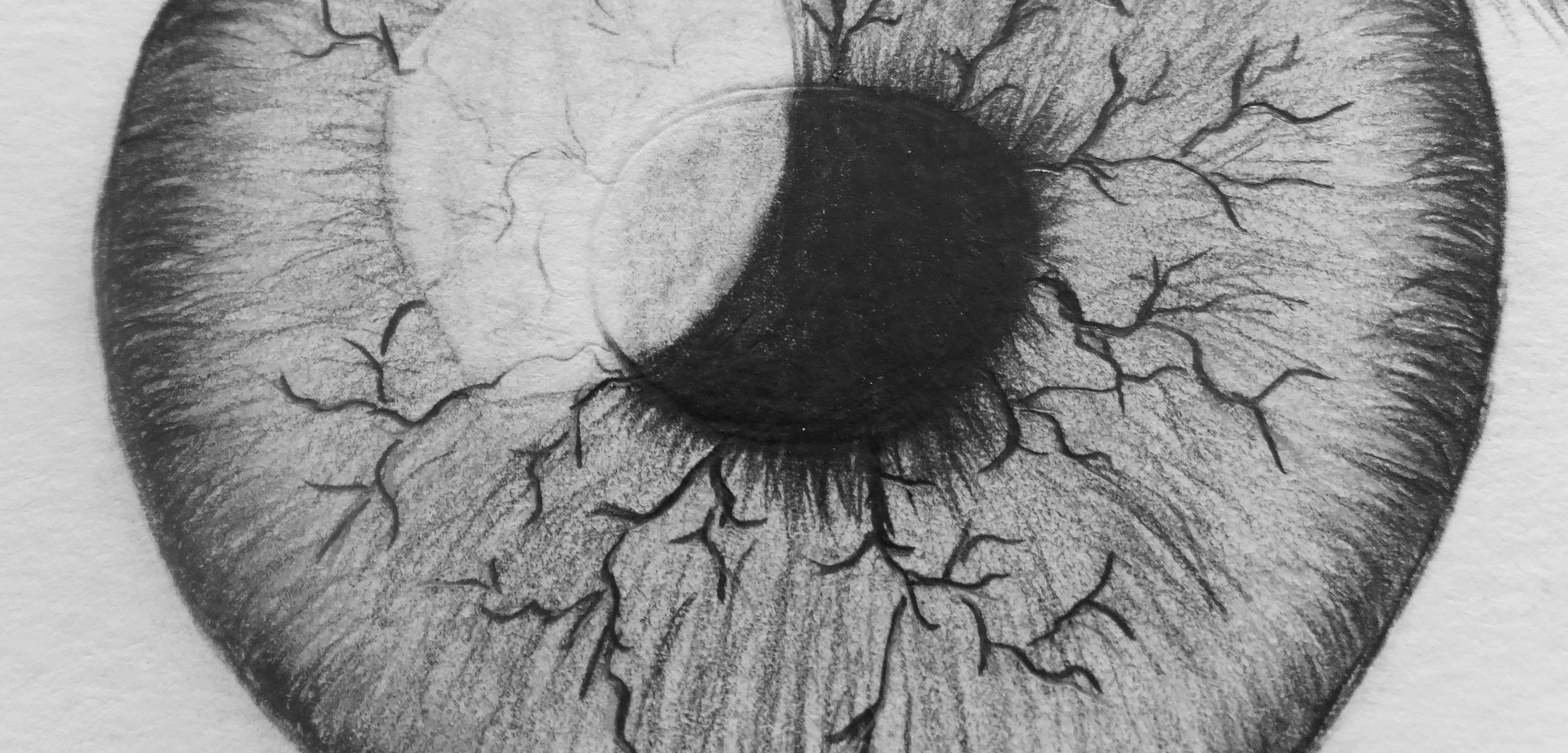 Closeup Eyeball Drawing By Edgarsart Steemit