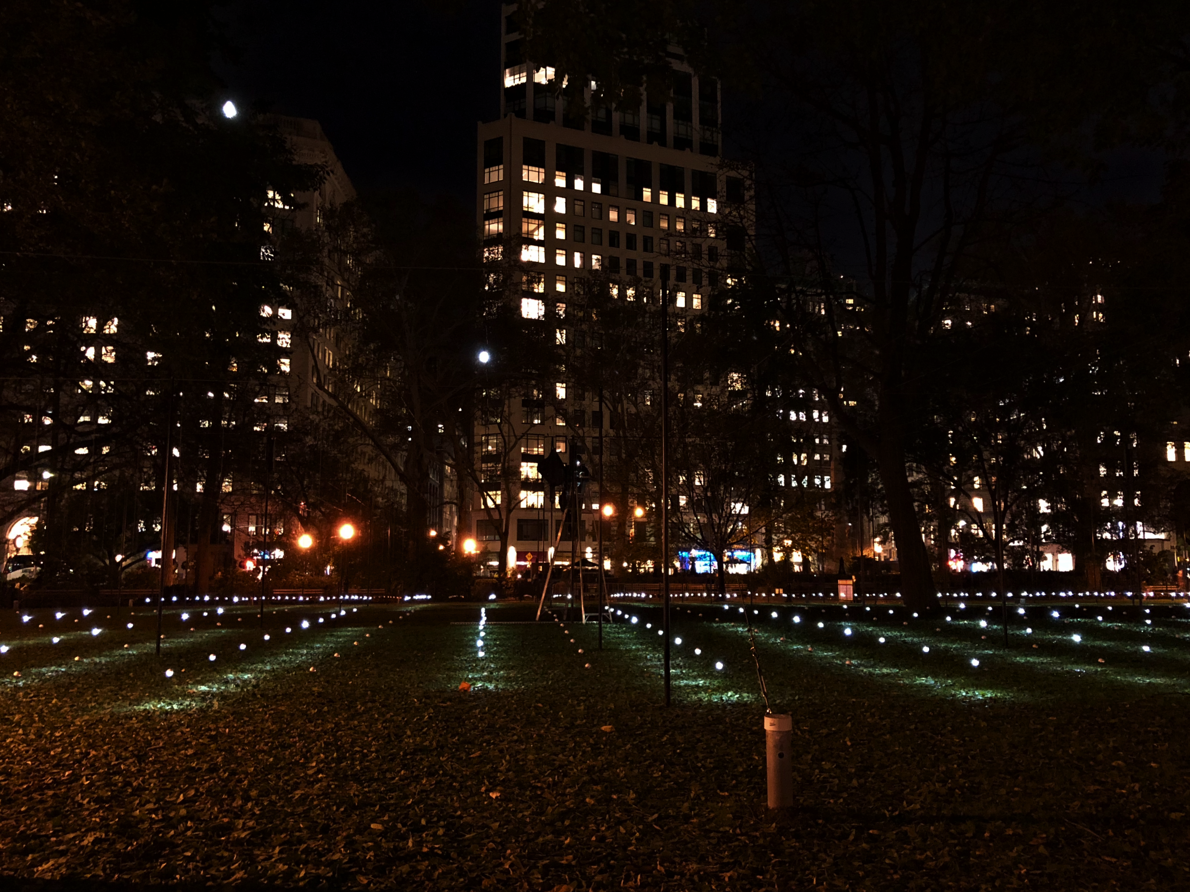 IMG_0041.png.jpg