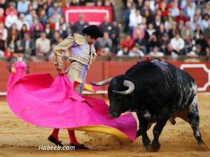 matador.bullfight.19.jpg