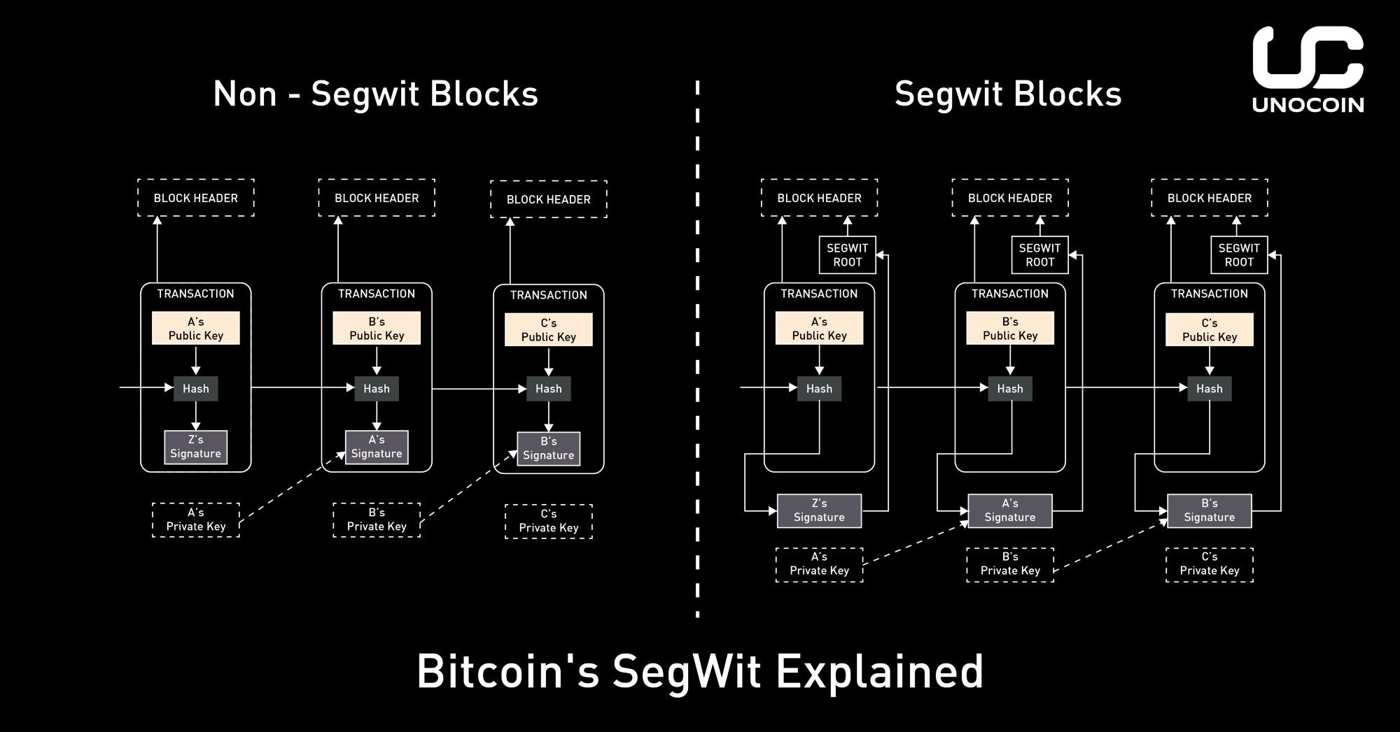 SegWit.jpeg