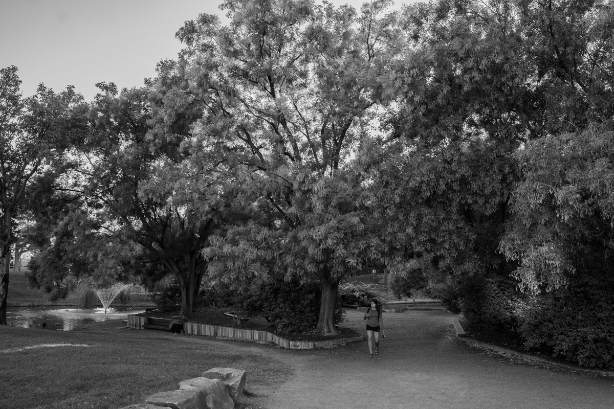 The Path.jpg