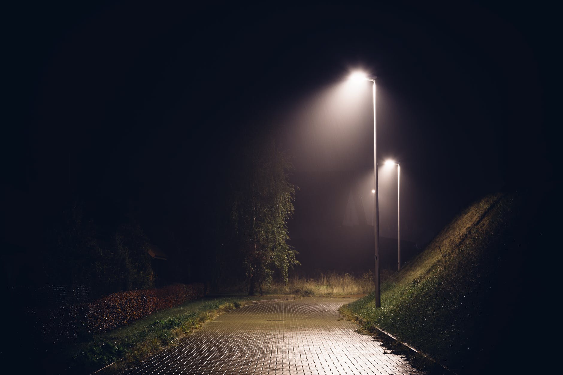 rain-night-mist-drizzle-79376.jpeg