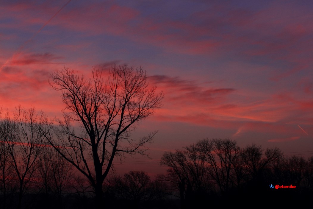 pink sunrise dawn SR15-12.JPG