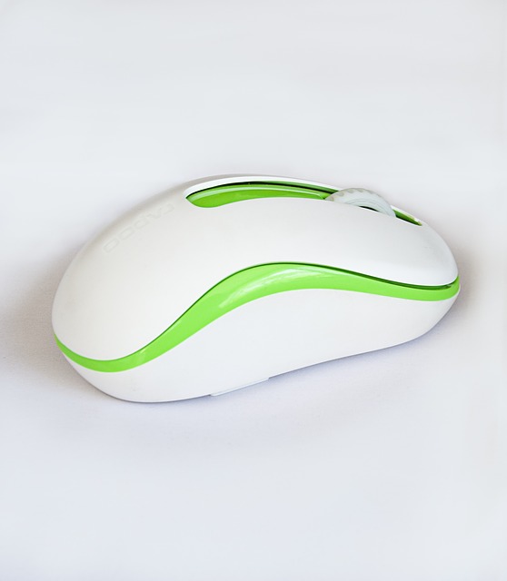 mouse-1999470_640.jpg