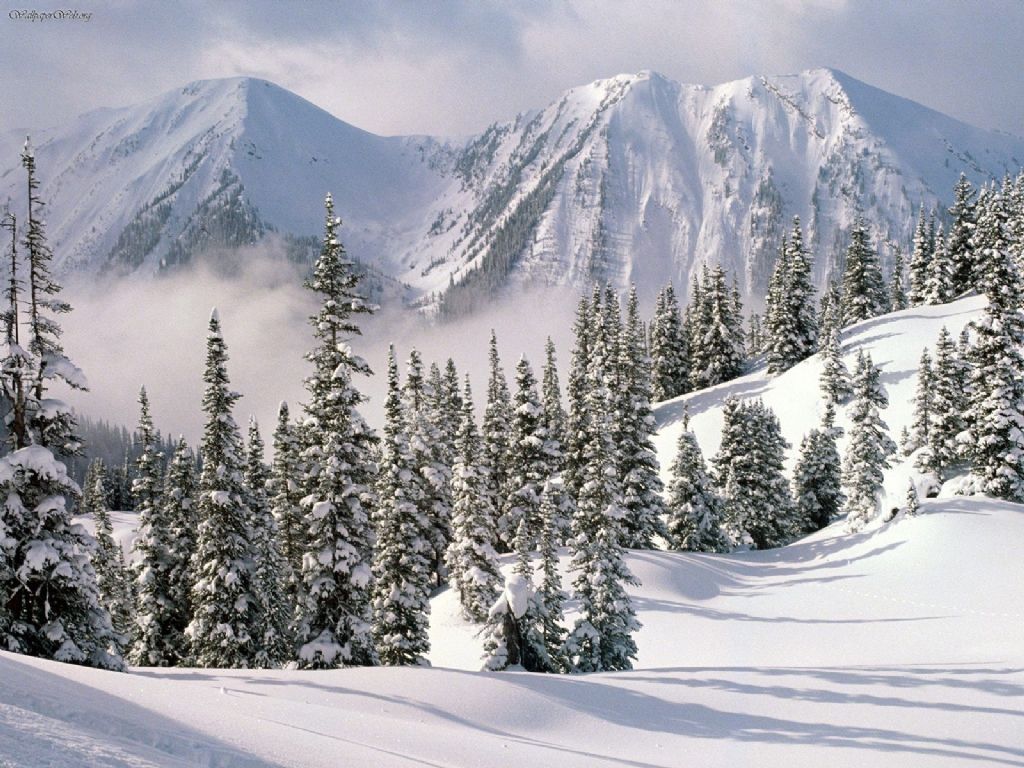 Winter_Wonderland_British_Columbia_Canada_1024x768.jpg