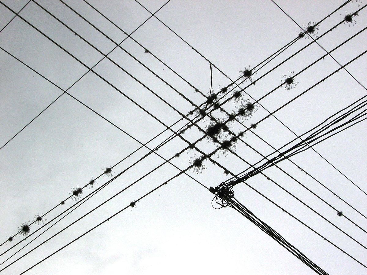 1200px-Wires.jpg