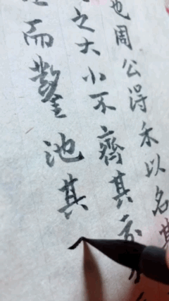 32D0A237-B84D-4D9B-A515-6EEDA9F4A528.gif