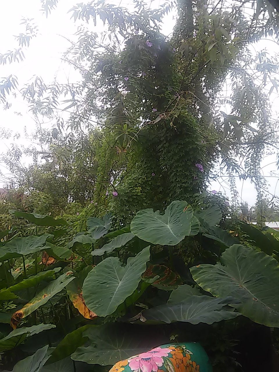 20180118_135557.jpg