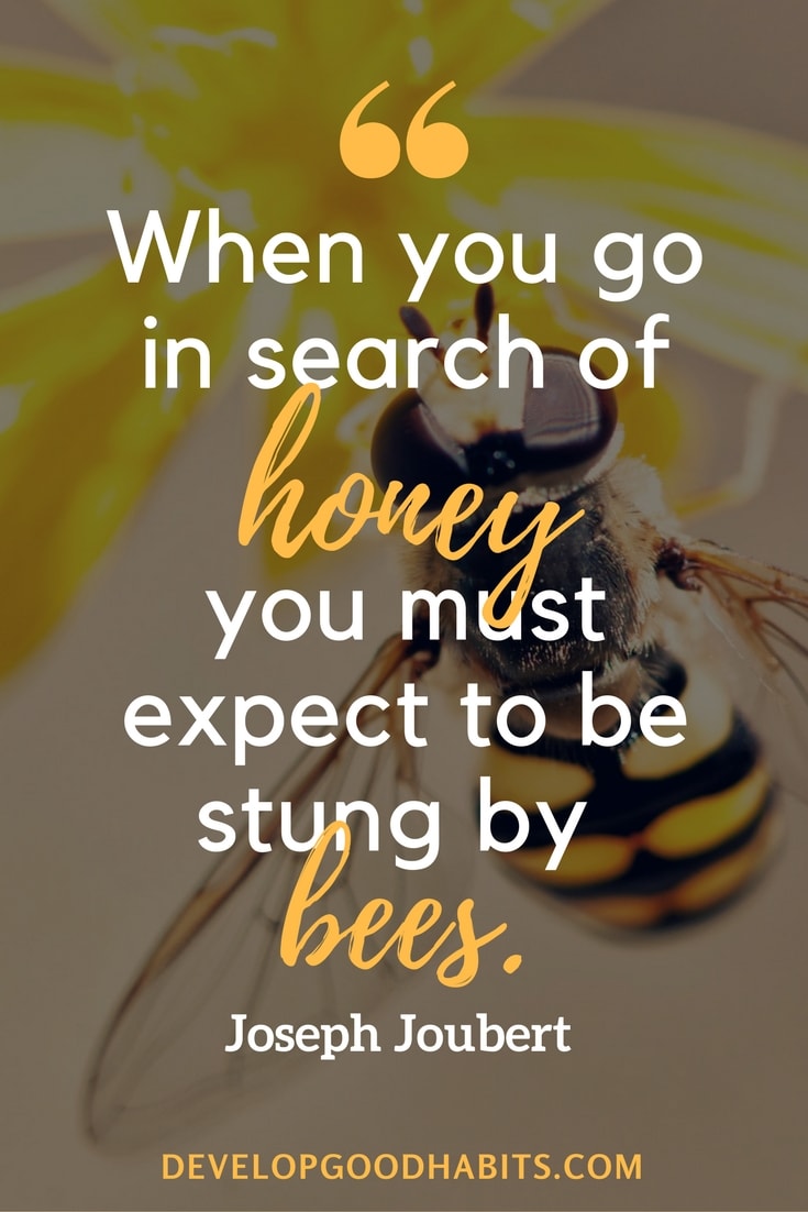 honey-bees.jpg