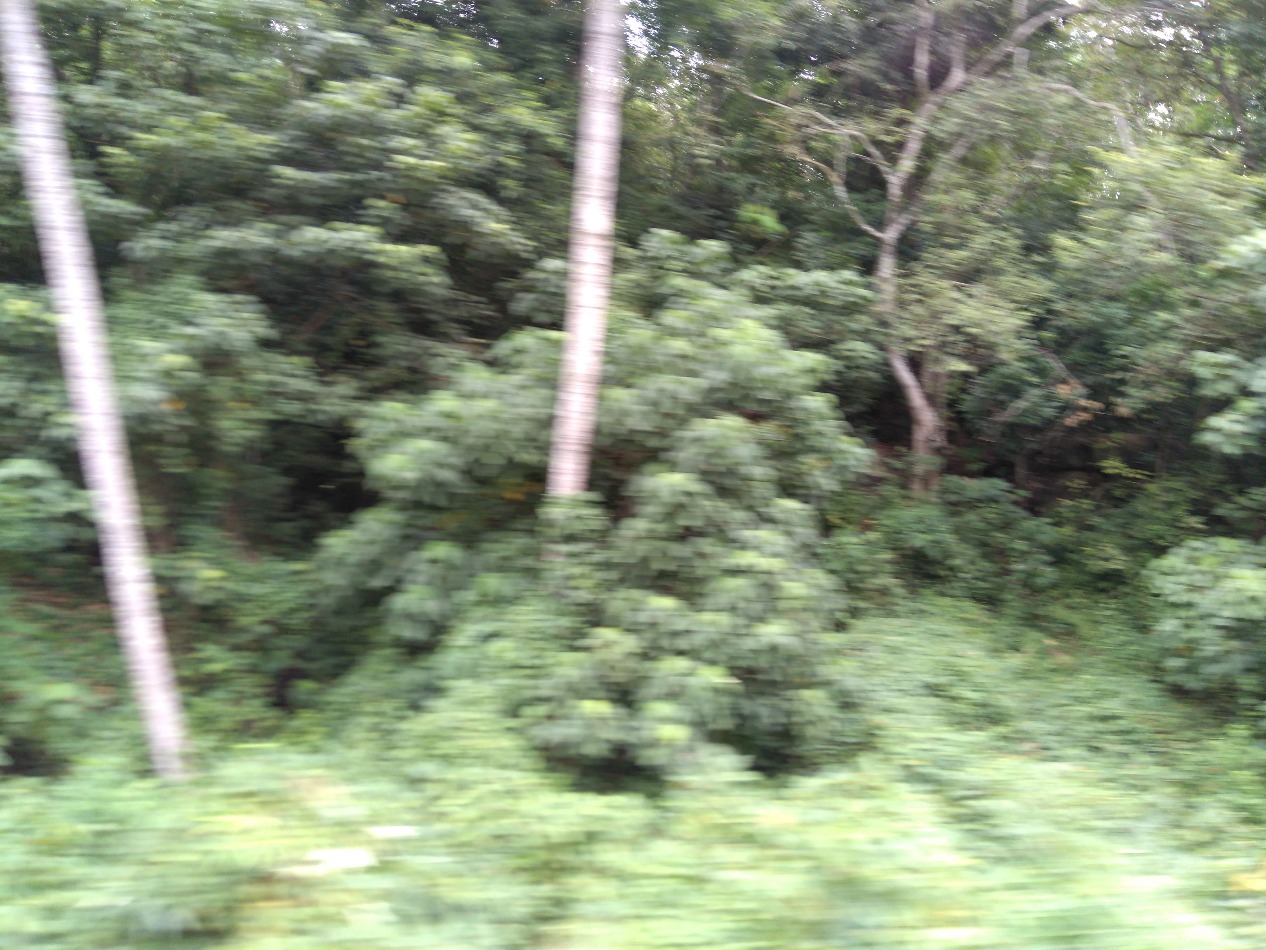 IMG_20170806_170734.jpg