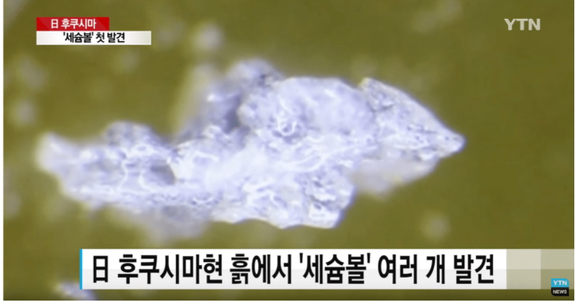 이미지 1173.jpg