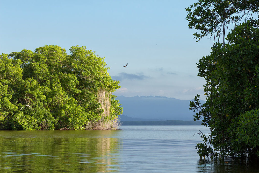 Parque Nacional Laguna de Tacarigua.